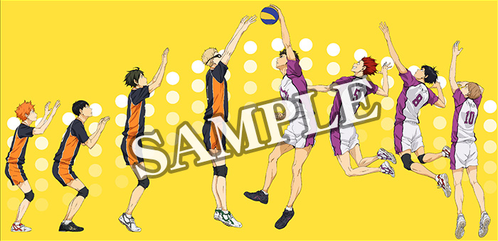 ハイキュー!! 烏野高校 VS 白鳥沢学園高校」Blu-ray&DVD 法人特典