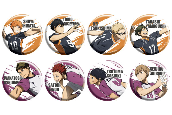 ハイキュー!! 声優直筆サイン入りバレーボール 白鳥沢vs烏野イベント当選 ハイキュー!! 声優直筆サイン入りバレーボール 白鳥沢vs烏野イベント