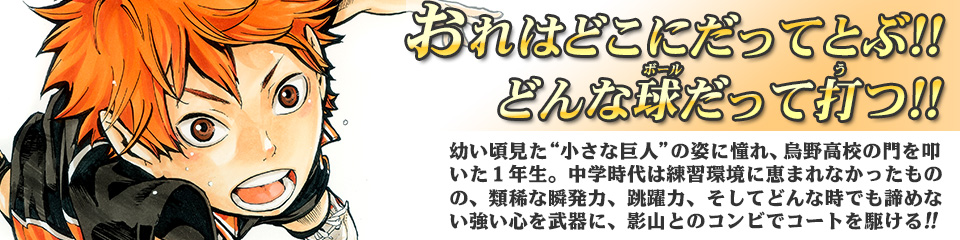 キャラクター Character ハイキュー ドットコム 烏野高校 青葉城西高校 音駒高校 伊達工業高校 日向 翔陽 影山 飛雄 澤村 大地 菅原 孝支 田中 龍之介 月島 蛍 山口 忠 清水 潔子 西谷 夕 東峰 旭 縁下 力 武田 一鉄 烏養 繋心 及川 徹 金田一 勇太郎 岩泉 一 孤爪 研磨