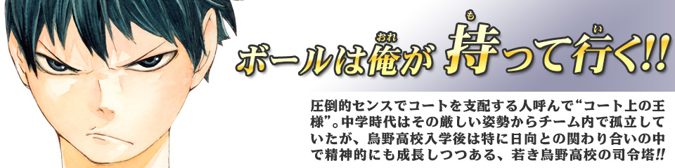 キャラクター Character ハイキュー ドットコム 烏野高校 青葉城西高校 音駒高校 伊達工業高校 日向 翔陽 影山 飛雄 澤村 大地 菅原 孝支 田中 龍之介 月島 蛍 山口 忠 清水 潔子 西谷 夕 東峰 旭 縁下 力 武田 一鉄 烏養 繋心 及川 徹 金田一 勇太郎 岩泉 一 孤爪 研磨