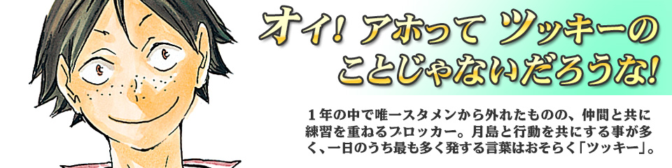 キャラクター Character ハイキュー ドットコム 烏野高校 青葉城西高校 音駒高校 伊達工業高校 日向 翔陽 影山 飛雄 澤村 大地 菅原 孝支 田中 龍之介 月島 蛍 山口 忠 清水 潔子 西谷 夕 東峰 旭 縁下 力 武田 一鉄 烏養 繋心 及川 徹 金田一 勇太郎 岩泉 一 孤爪 研磨