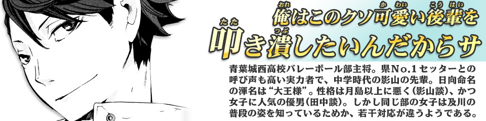 キャラクター Character ハイキュー ドットコム 烏野高校 青葉城西高校 音駒高校 伊達工業高校 日向 翔陽 影山 飛雄 澤村 大地 菅原 孝支 田中 龍之介 月島 蛍 山口 忠 清水 潔子 西谷 夕 東峰 旭 縁下 力 武田 一鉄 烏養 繋心 及川 徹 金田一 勇太郎 岩泉 一 孤爪 研磨