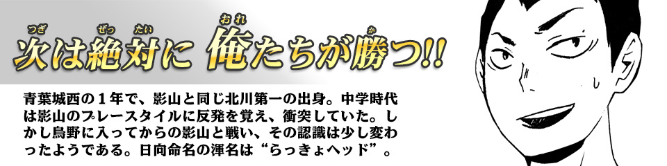 キャラクター Character ハイキュー ドットコム 烏野高校 青葉城西高校 音駒高校 伊達工業高校 日向 翔陽 影山 飛雄 澤村 大地 菅原 孝支 田中 龍之介 月島 蛍 山口 忠 清水 潔子 西谷 夕 東峰 旭 縁下 力 武田 一鉄 烏養 繋心 及川 徹 金田一 勇太郎 岩泉 一 孤爪 研磨