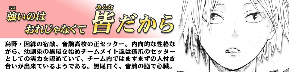 キャラクター Character ハイキュー ドットコム 烏野高校 青葉城西高校 音駒高校 伊達工業高校 日向 翔陽 影山 飛雄 澤村 大地 菅原 孝支 田中 龍之介 月島 蛍 山口 忠 清水 潔子 西谷 夕 東峰 旭 縁下 力 武田 一鉄 烏養 繋心 及川 徹 金田一 勇太郎 岩泉 一 孤爪 研磨