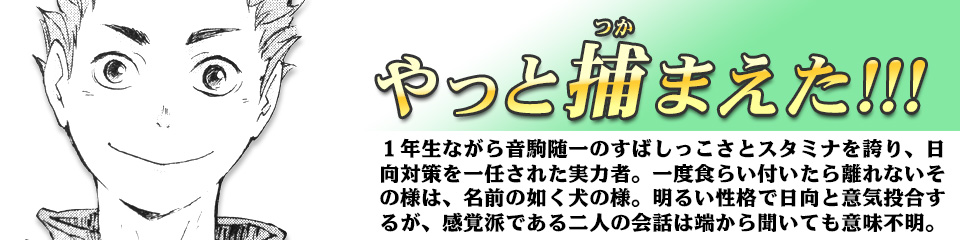 キャラクター Character ハイキュー ドットコム 烏野高校 青葉城西高校 音駒高校 伊達工業高校 日向 翔陽 影山 飛雄 澤村 大地 菅原 孝支 田中 龍之介 月島 蛍 山口 忠 清水 潔子 西谷 夕 東峰 旭 縁下 力 武田 一鉄 烏養 繋心 及川 徹 金田一 勇太郎 岩泉 一 孤爪 研磨