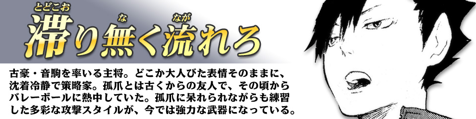 キャラクター Character ハイキュー ドットコム 烏野高校 青葉城西高校 音駒高校 伊達工業高校 日向 翔陽 影山 飛雄 澤村 大地 菅原 孝支 田中 龍之介 月島 蛍 山口 忠 清水 潔子 西谷 夕 東峰 旭 縁下 力 武田 一鉄 烏養 繋心 及川 徹 金田一 勇太郎 岩泉 一 孤爪 研磨