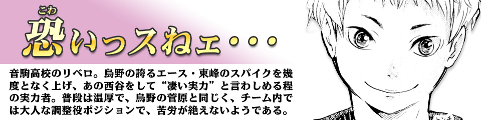 キャラクター Character ハイキュー ドットコム 烏野高校 青葉城西高校 音駒高校 伊達工業高校 日向 翔陽 影山 飛雄 澤村 大地 菅原 孝支 田中 龍之介 月島 蛍 山口 忠 清水 潔子 西谷 夕 東峰 旭 縁下 力 武田 一鉄 烏養 繋心 及川 徹 金田一 勇太郎 岩泉 一 孤爪 研磨